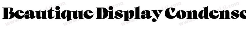 Beautique Display Condensed Black字体转换